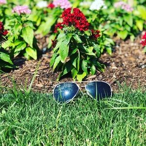 Meet your Posher, Avery